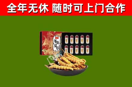 彰化烟酒回收冬虫夏草礼盒.jpg